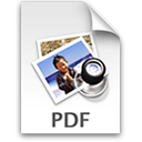 PDF link